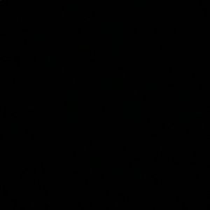 Meet your Posher, Roberta